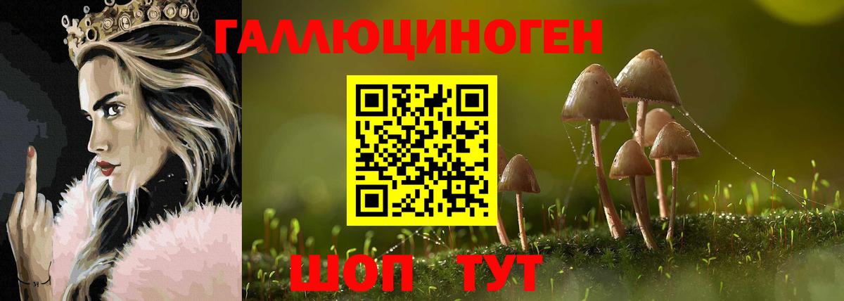 Галлюциногенные грибы Psilocybine cubensis  Вход с VPN  цены наркотик  Чебоксары 